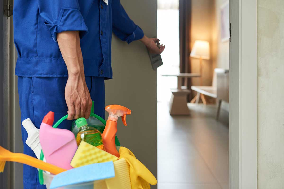 Professional Cleaning & Maintenance